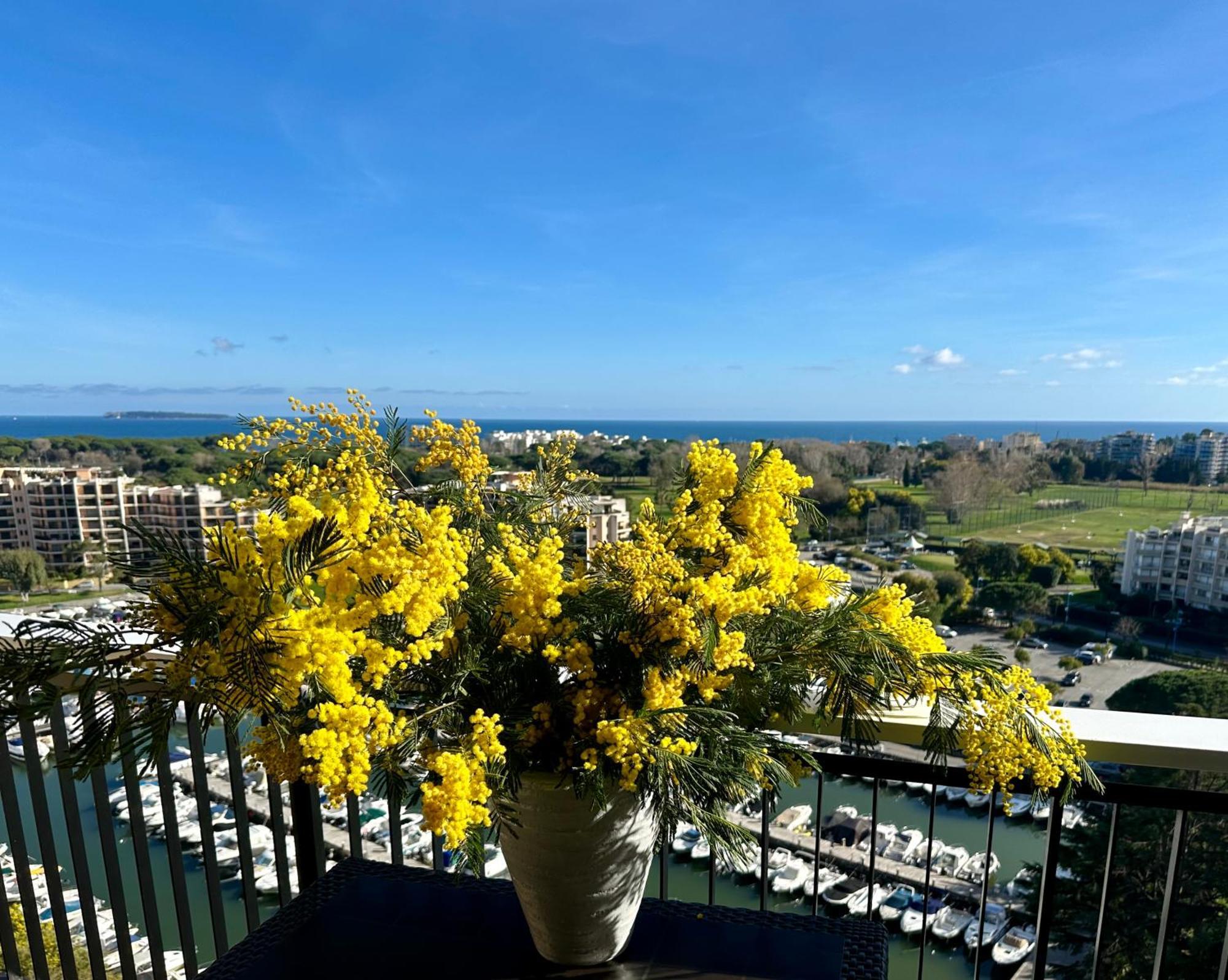 Cannes Marina Appart Hotel Mandelieu المظهر الخارجي الصورة